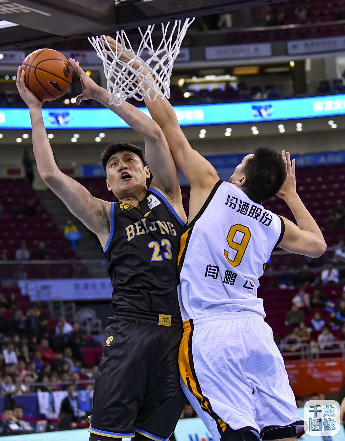 老鹰虽试图 老鹰虽试图